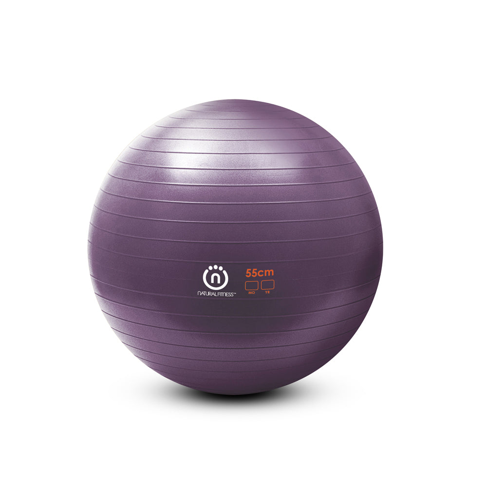 Pro Burst Resistant Exercise Ball