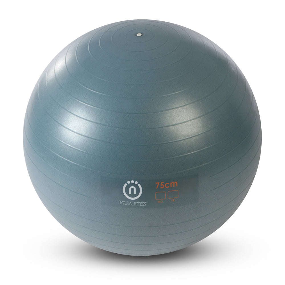 Pro Burst Resistant Exercise Ball